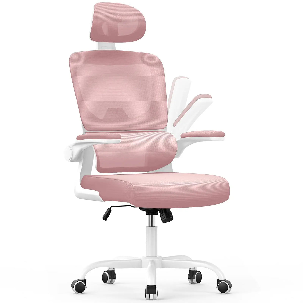 Maison Postura — Gamme 3