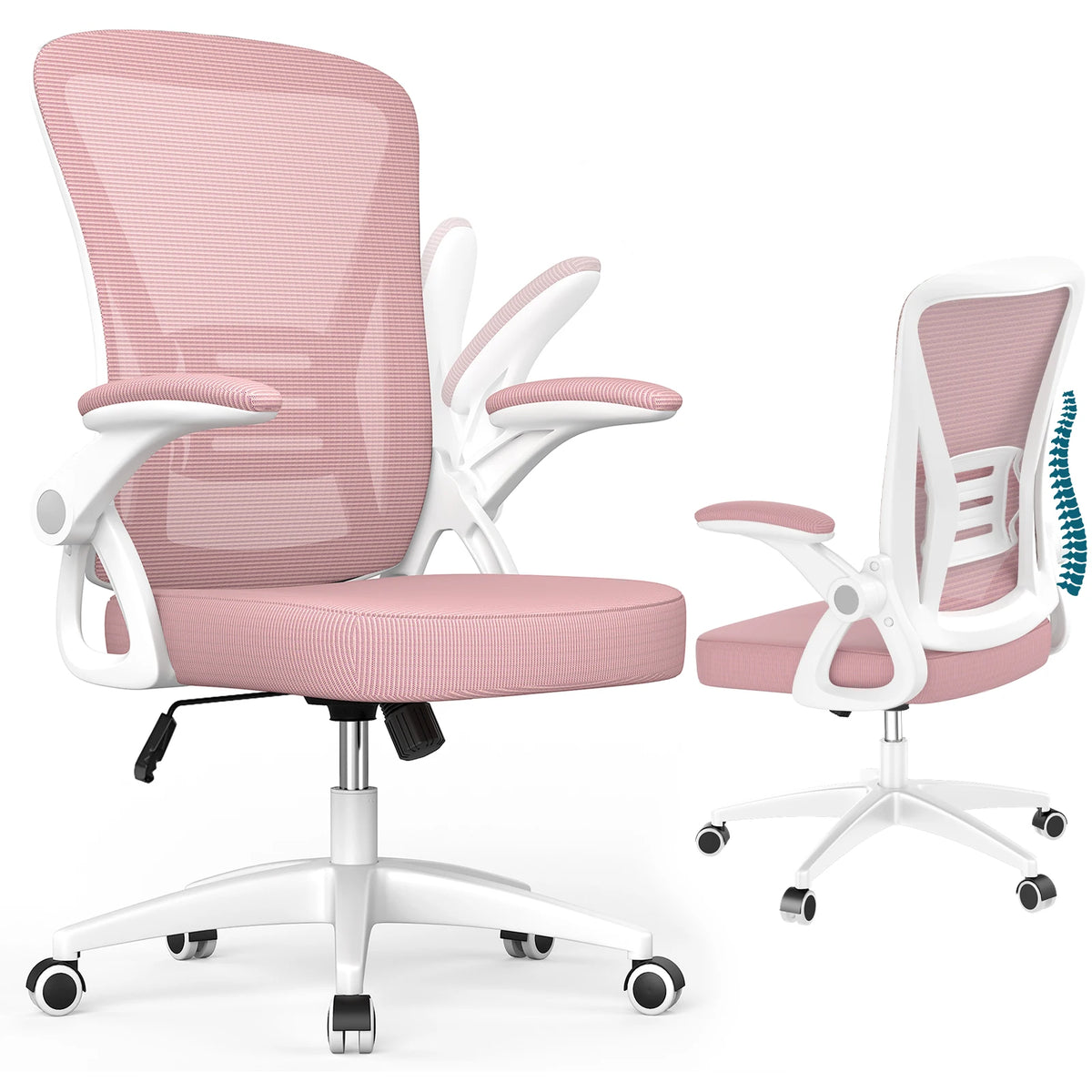 Maison Postura — Gamme 2